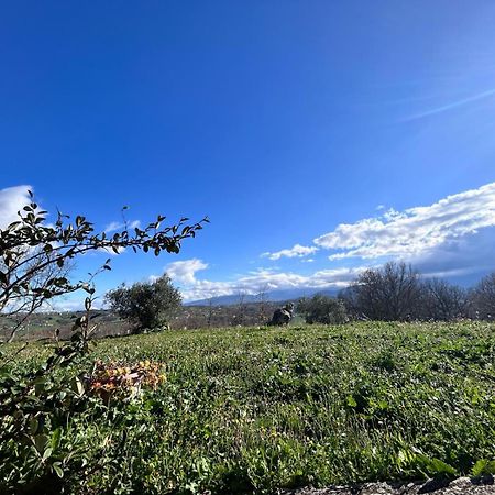 Residence San Martino Busso 外观 照片